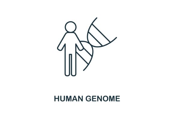 Understanding the Human Genome Icon: A Symbol for Bioengineering and Beyond